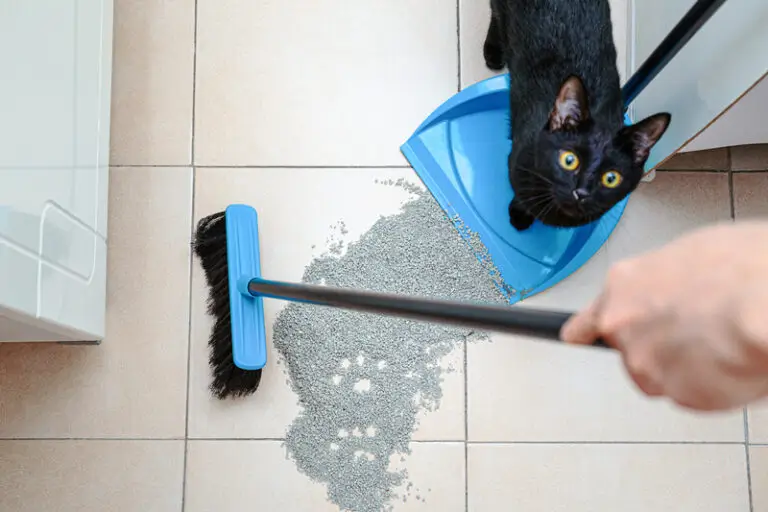 woman sweeping cat litter