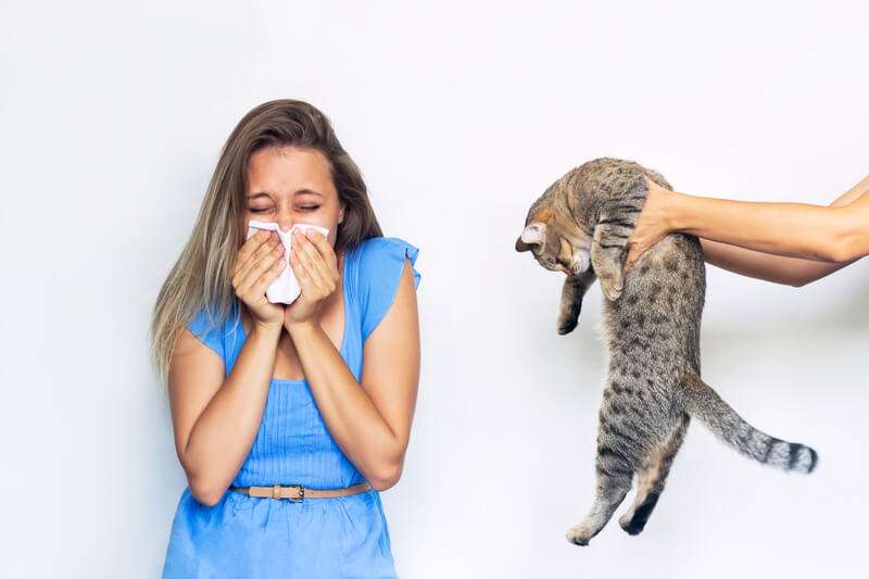 best cat litter for allergies