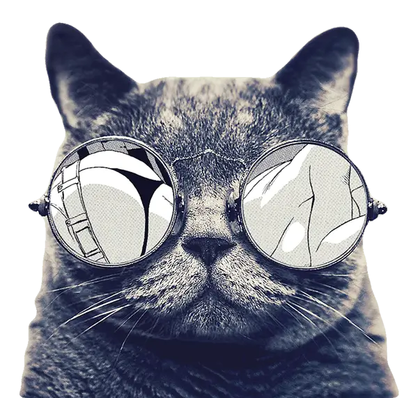 cat wearing sunglasses